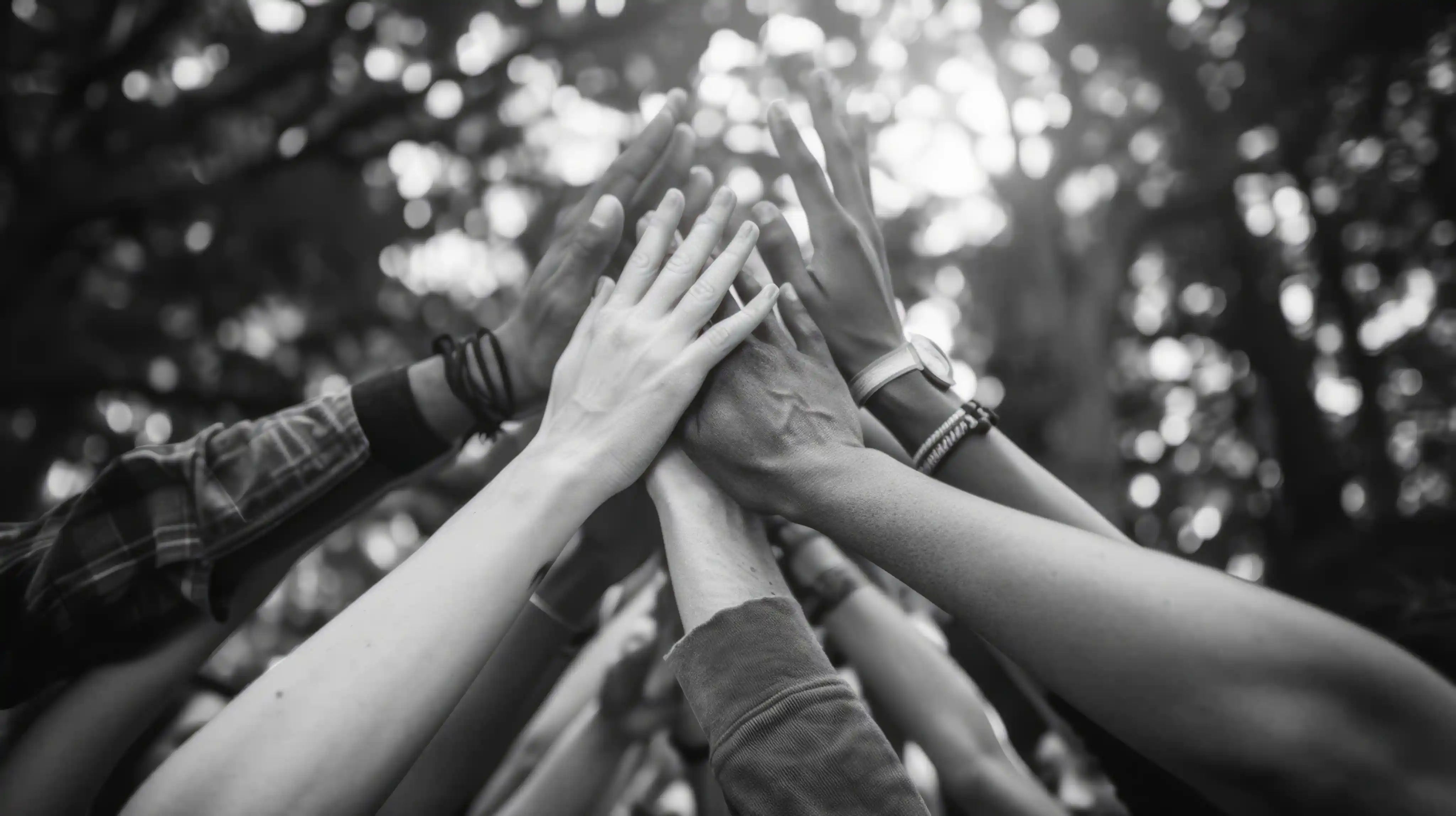 teamwork-makes-dreamwork