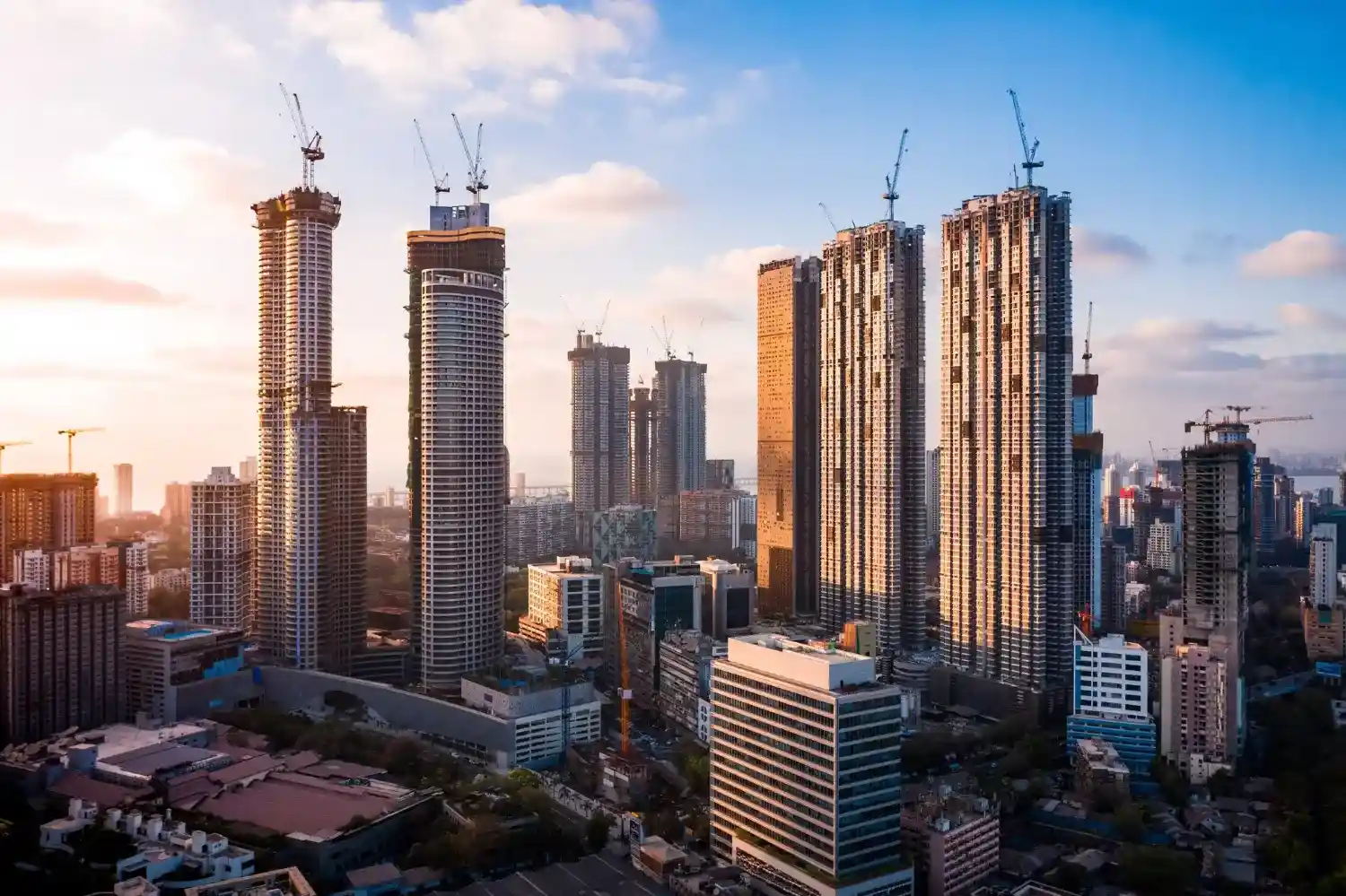 Construction & Real Estate